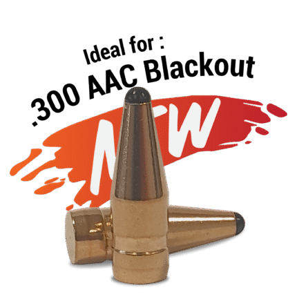 .30 (.308) – 110 gr