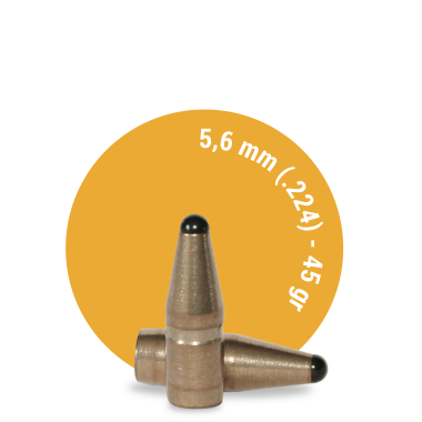 5.6 mm (.224) – 45 gr