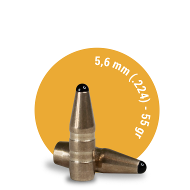 5.6 mm (.224) – 55 gr